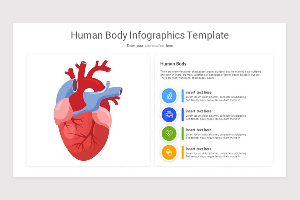 Human Body Infographics Keynote Template | Nulivo Market