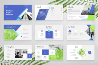 One Page Project Summary Google Slides Template | Nulivo Market