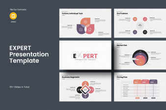 Expert Google Slides Template