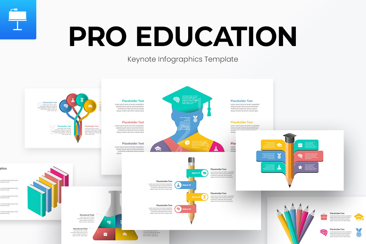 Infographic Education Template Education Infographics Design Template