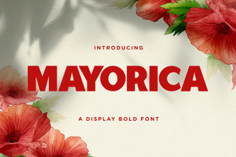 Mayorica - Minimalist Bold Display Font