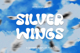 Silver Wings - Hand Drawn Bubble Font
