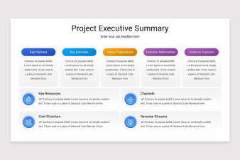 Project Executive Summary PowerPoint Template | Nulivo Market