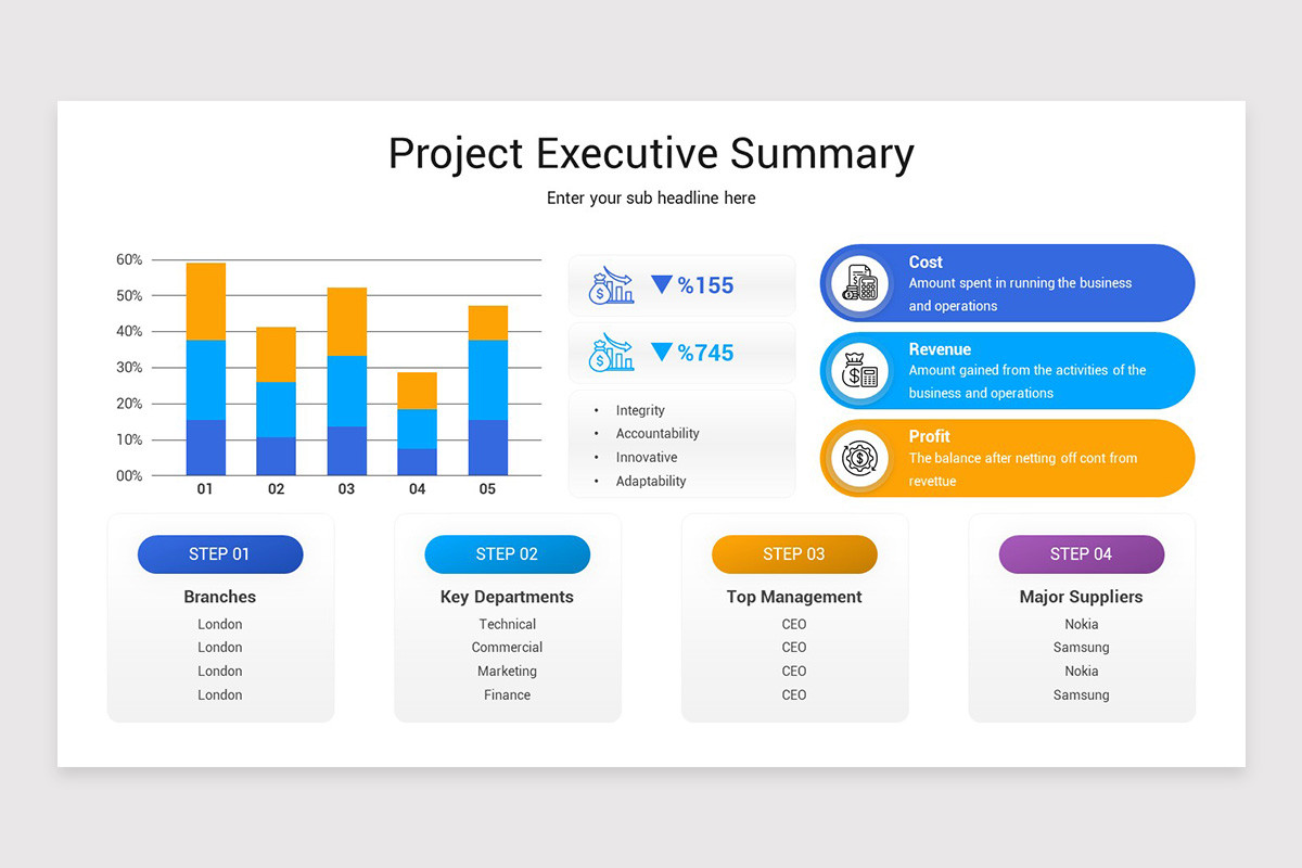 Project Executive Summary Layout Executive Summary Templates & Slides