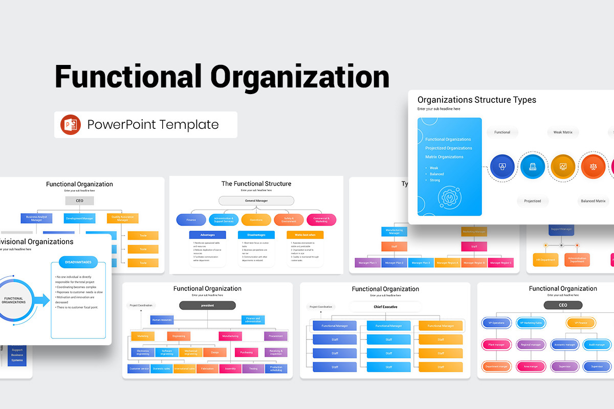 Functional Organization PowerPoint Template | Nulivo Market