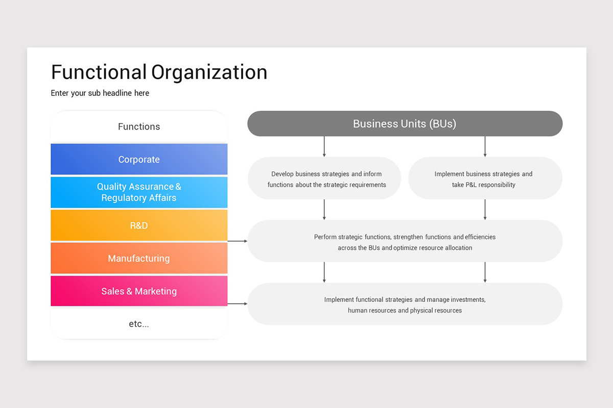 Functional Organization Google Slides Template | Nulivo Market