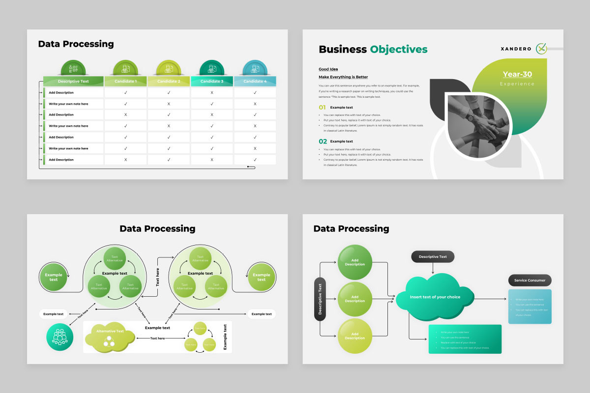 Program Presentation Datatemplate Data Processing PowerPoint Presentation Template | Nulivo Market