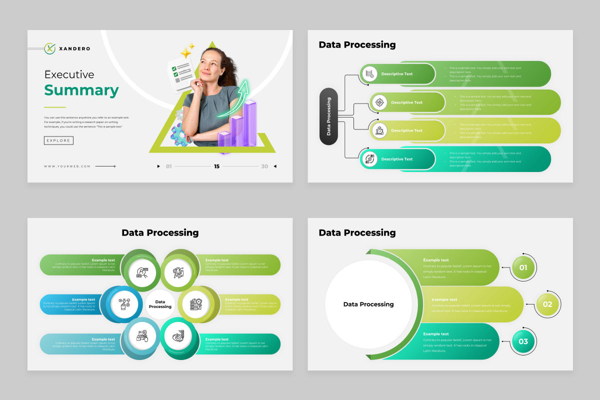 Program Presentation Datatemplate Data Processing Keynote Presentation Template | Nulivo Market